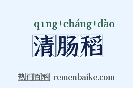 清肠稻是什么意思的图片